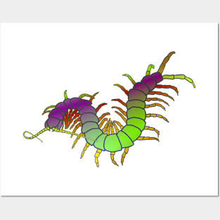 Purple/Lawn-Green Centipede Posters and Art